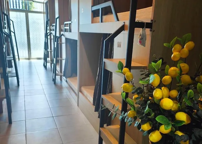 Momoya House Hostel