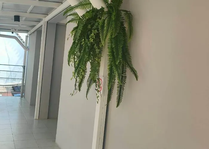 Hostel Momoya House *